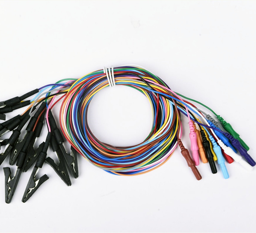 Clips de cocodrilo coloridos reutilizables 12 colores con el estruendo del Pin del estándar 1